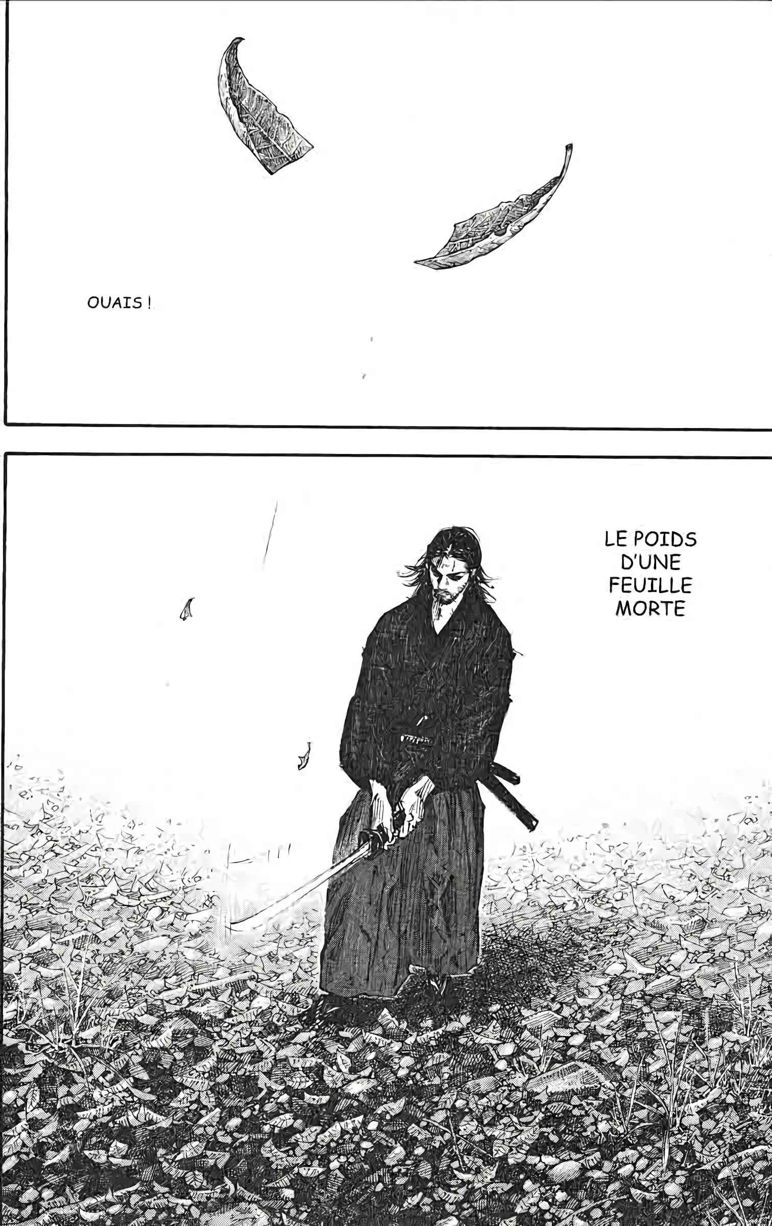 Read Vagabond FR Manga Online