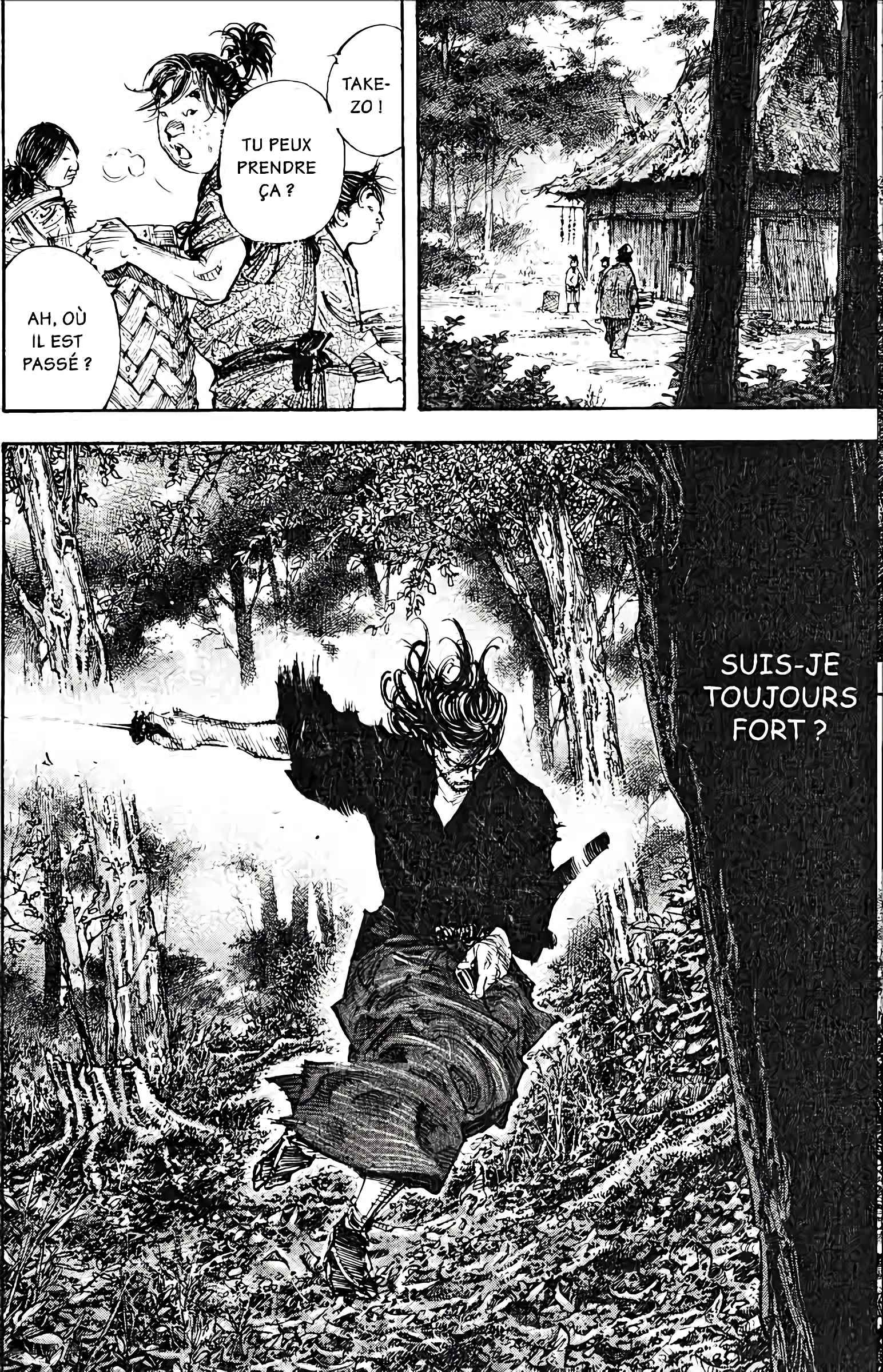 Read Vagabond FR Manga Online