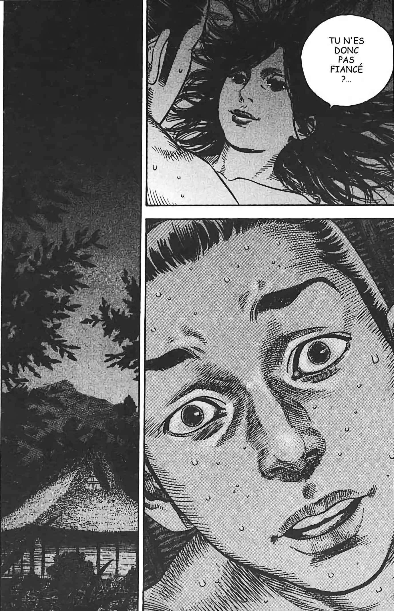 Read Vagabond FR Manga Online