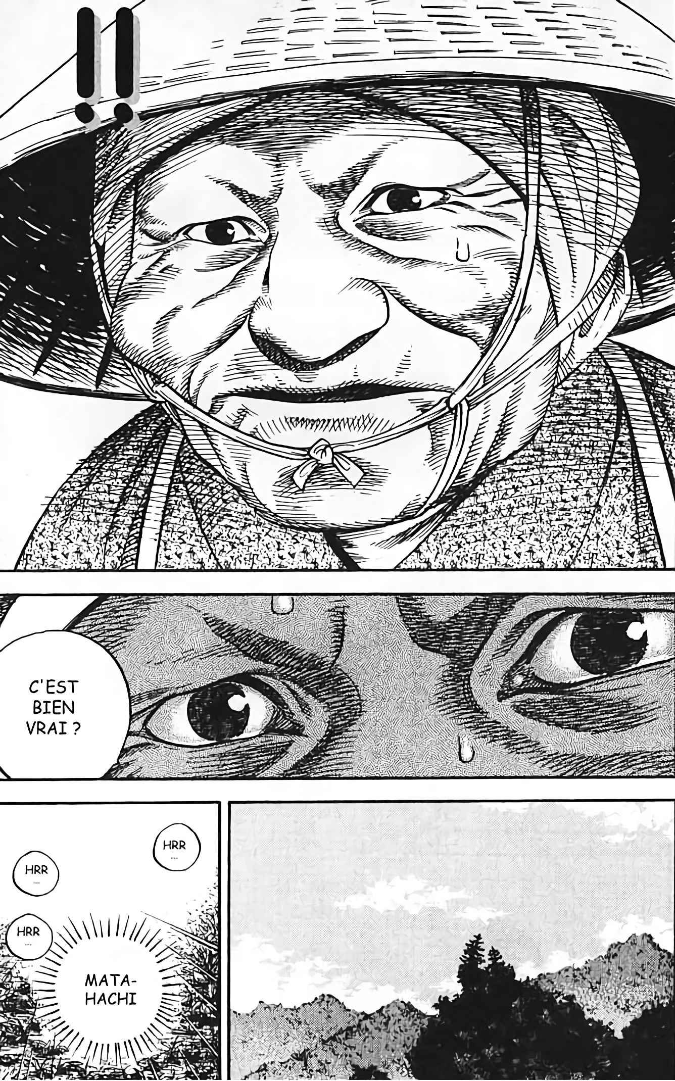 Read Vagabond FR Manga Online